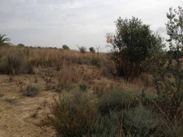 Terreno en venta en la Ribera Alta, Valencia