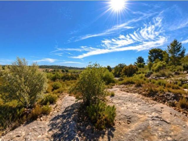 Terreno en venta en la Ribera Alta, Valencia