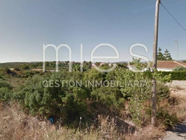 Terreno en venta en la Ribera Alta, Valencia