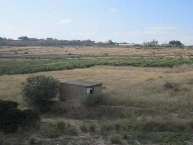 Terreno en venta en la Ribera Alta, Valencia