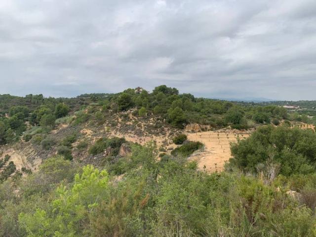 Terreno en venta en la Ribera Alta, Valencia
