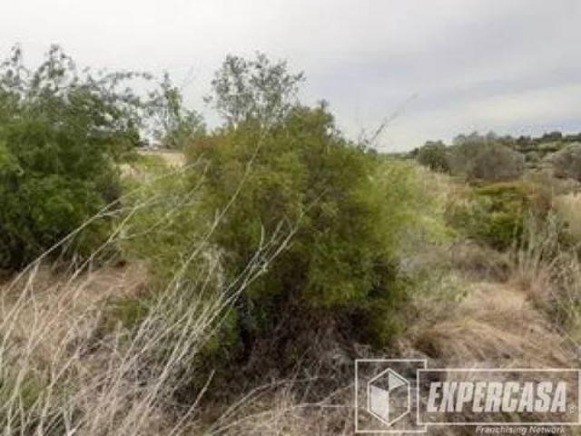 Terreno en venta en la Ribera Alta, Valencia