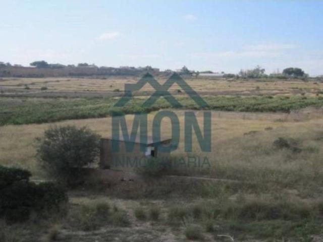 Terreno en venta en la Ribera Alta, Valencia