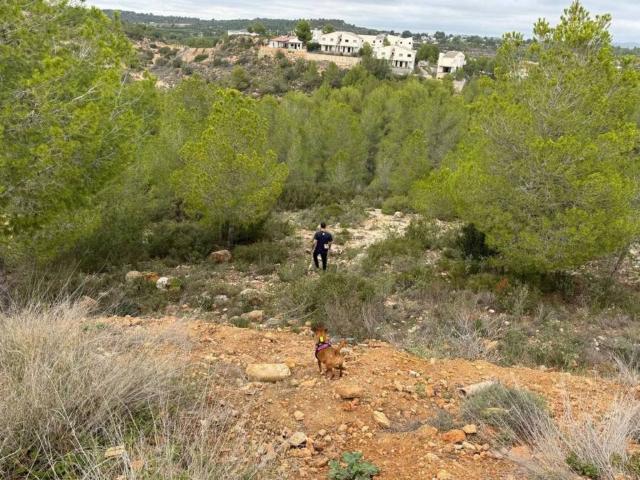 Terreno en venta en la Ribera Alta, Valencia