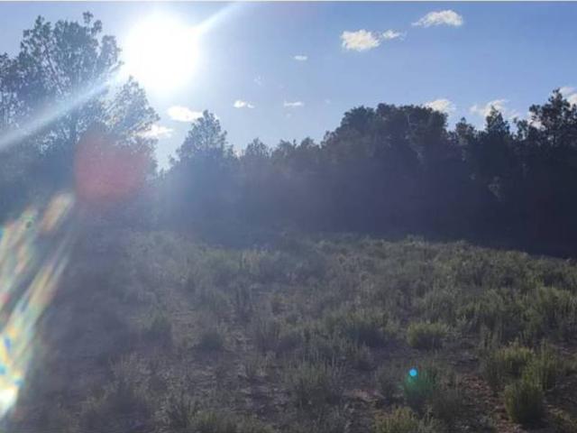 Terreno en venta en la Ribera Alta, Valencia