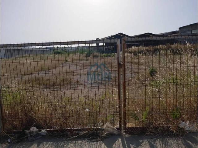 Terreno en venta en la Ribera Alta, Valencia