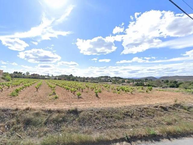Terreno en venta en la Ribera Alta, Valencia