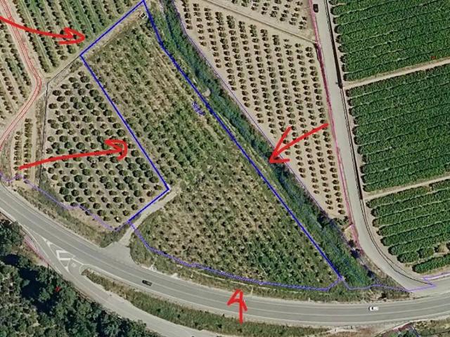 Terreno en venta en la Ribera Alta, Valencia
