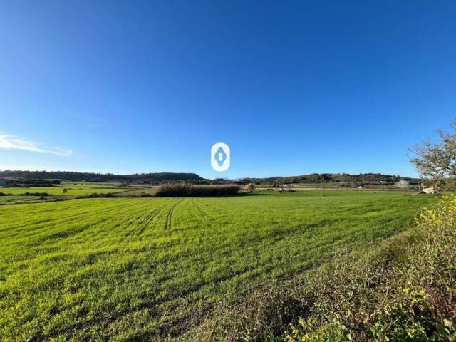 Terreno en venta en Pla de Mallorca, Baleares