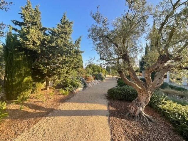 Terreno en venta en Pla de Mallorca, Baleares
