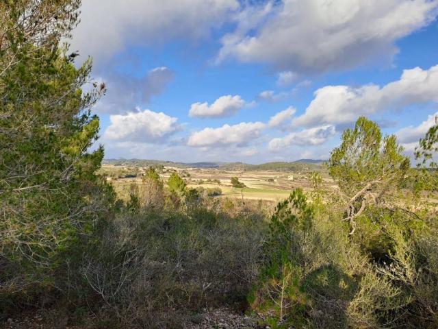 Terreno en venta en Pla de Mallorca, Baleares
