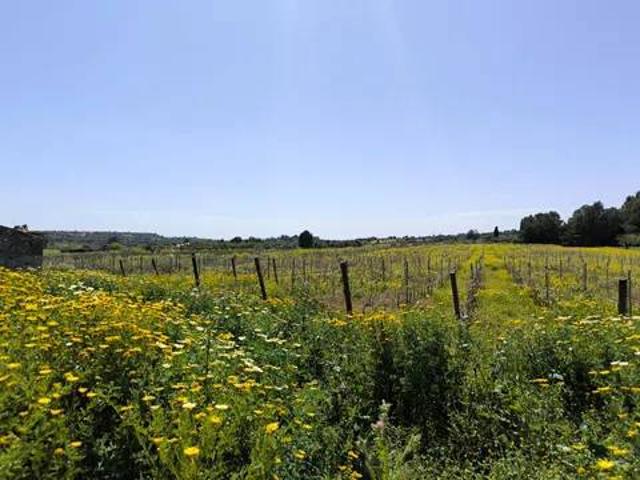 Terreno en venta en Pla de Mallorca, Baleares