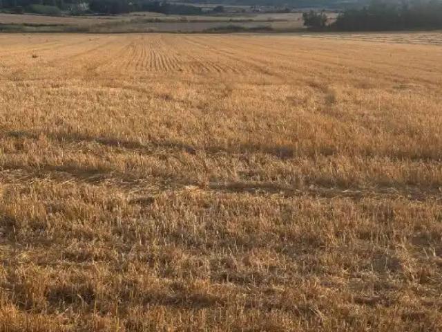 Terreno en venta en Pla de Mallorca, Baleares
