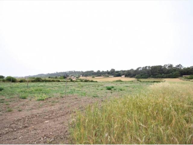 Terreno en venta en Pla de Mallorca, Baleares