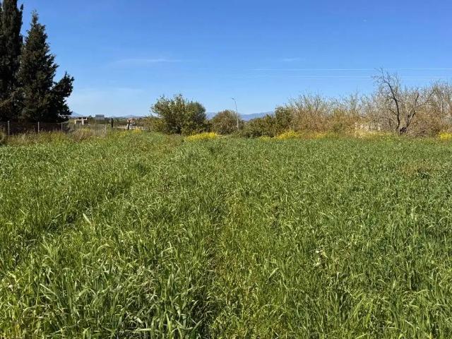 Terreno en venta en Pla de Mallorca, Baleares