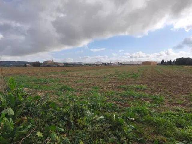 Terreno en venta en Pla de Mallorca, Baleares