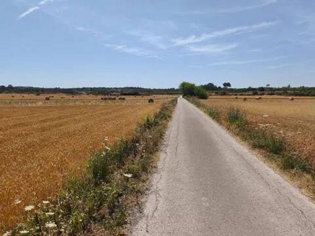 Terreno en venta en Pla de Mallorca, Baleares