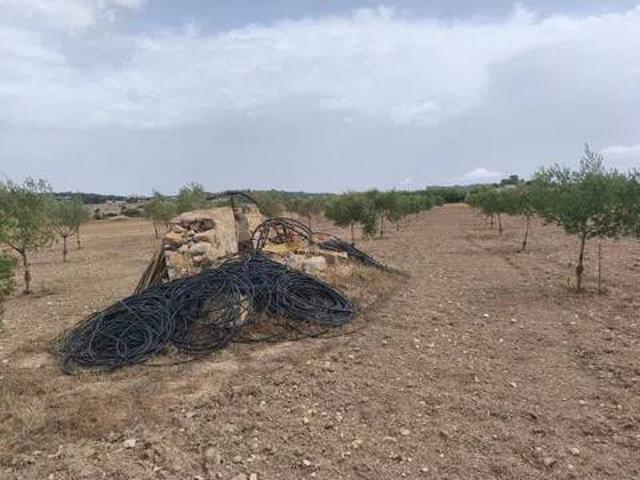 Terreno en venta en Pla de Mallorca, Baleares