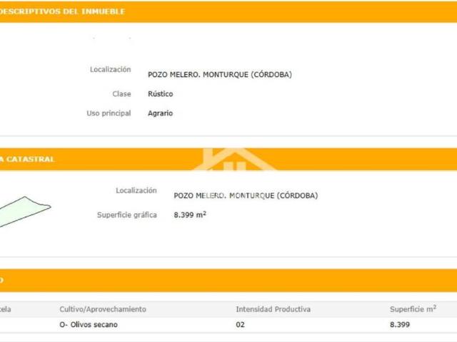 Terreno en venta en Monturque, Andalucía