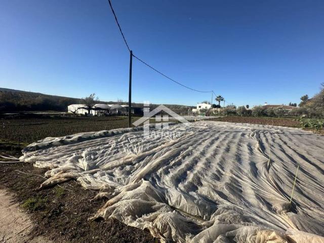 Terreno en venta en Monturque, Andalucía