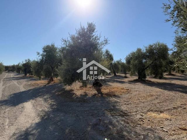 Terreno en venta en Monturque, Andalucía
