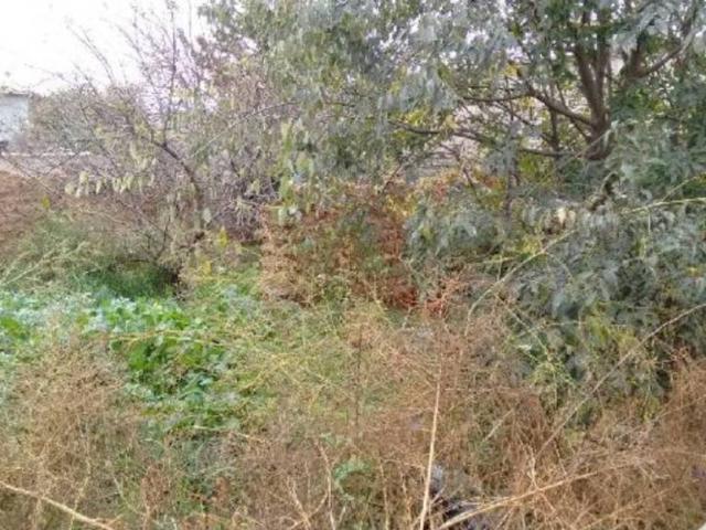 Terreno en venta en Cinca Medio, Aragón