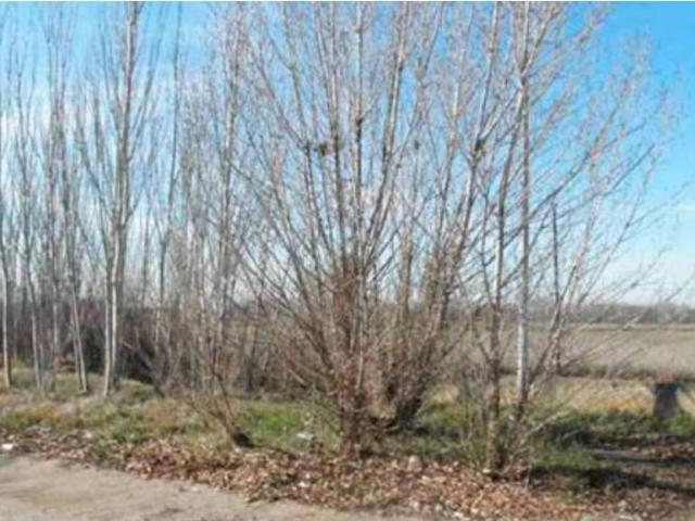 Terreno en venta en Monzón De Campos, Castilla y León