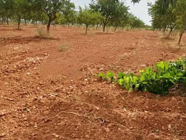 Terreno en venta en Mora, Castilla-La Mancha