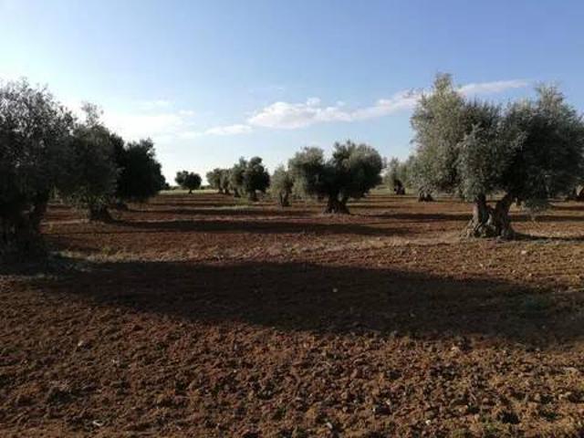 Terreno en venta en Mora, Castilla-La Mancha