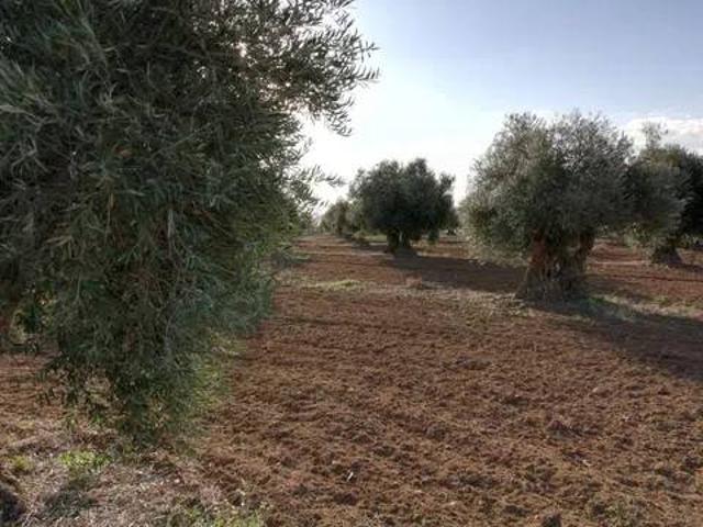 Terreno en venta en Mora, Castilla-La Mancha