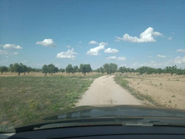 Terreno en venta en Mora, Castilla-La Mancha