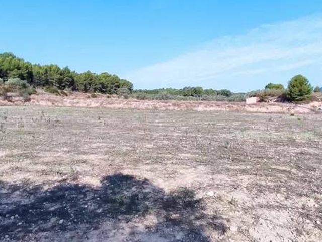 Terreno en venta en Móra d'Ebre, Tarragona