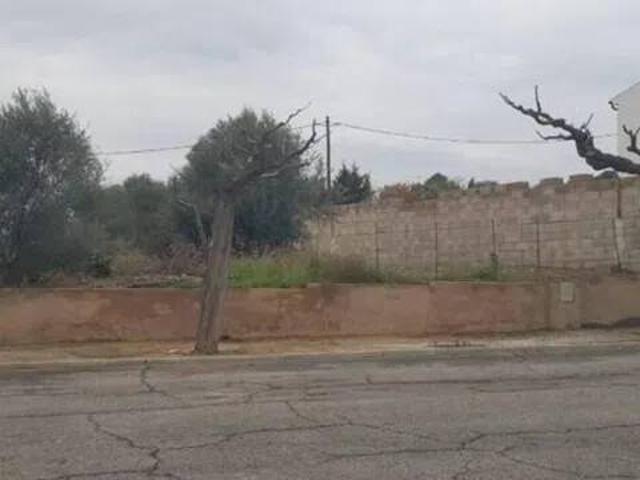Terreno en venta en Ribera d'Ebre, Catalunya