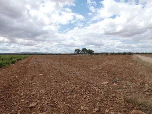 Terreno en venta en Moral De Calatrava, Castilla-La Mancha