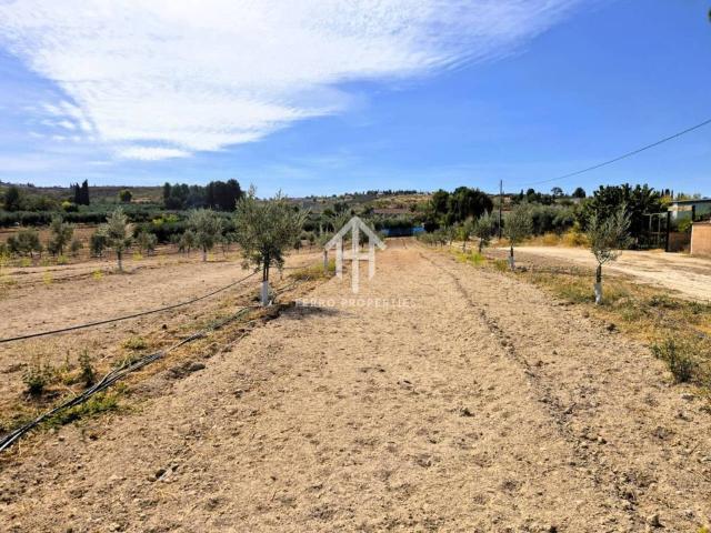 Terreno en venta en Comarca de Loja, Andalucía