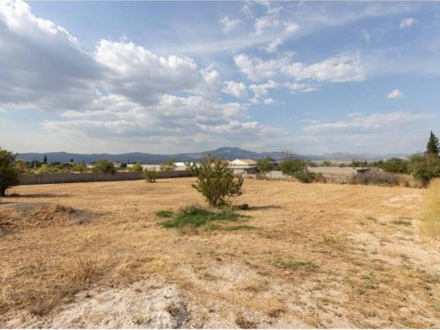 Terreno en venta en Comarca de Loja, Andalucía