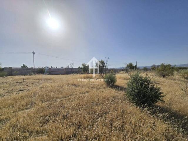 Terreno en venta en Comarca de Loja, Andalucía