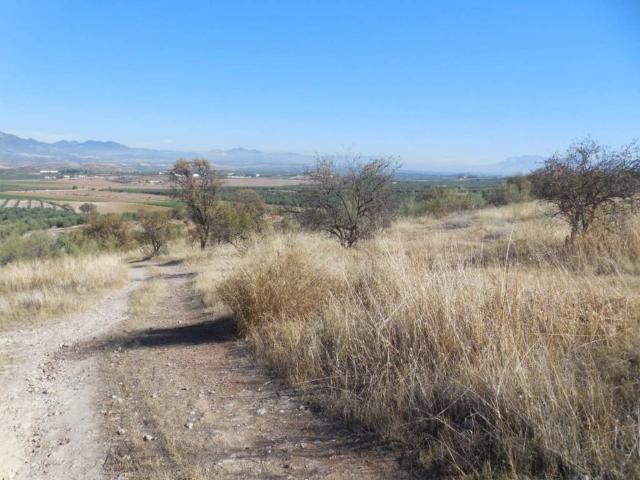 Terreno en venta en Comarca de Loja, Andalucía