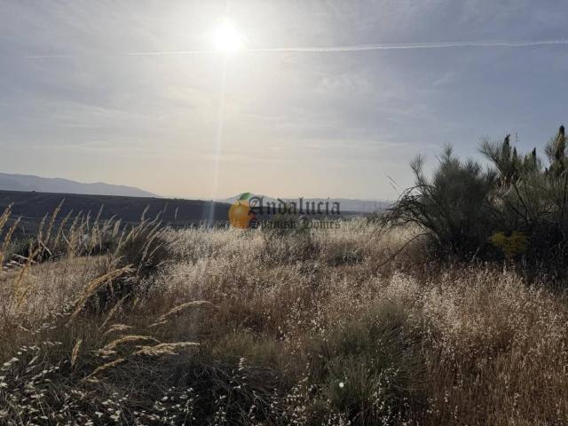 Terreno en venta en Comarca de Loja, Andalucía