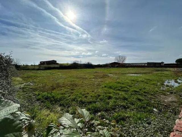 Terreno en venta en Moraleja, Extremadura