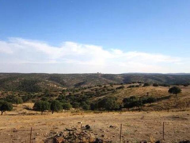 Terreno en venta en Moraleja, Extremadura