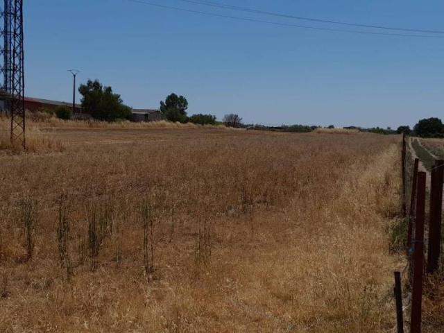 Terreno en venta en Moraleja, Extremadura
