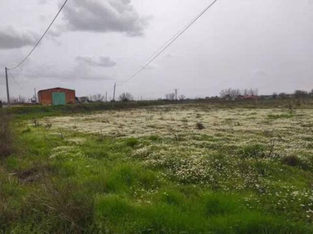 Terreno en venta en Moraleja, Extremadura