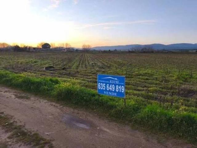 Terreno en venta en Moraleja, Extremadura