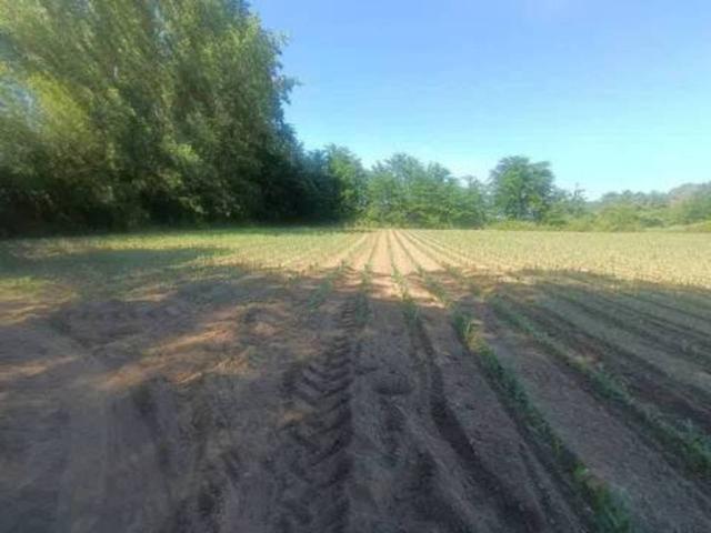 Terreno en venta en Moraleja, Extremadura