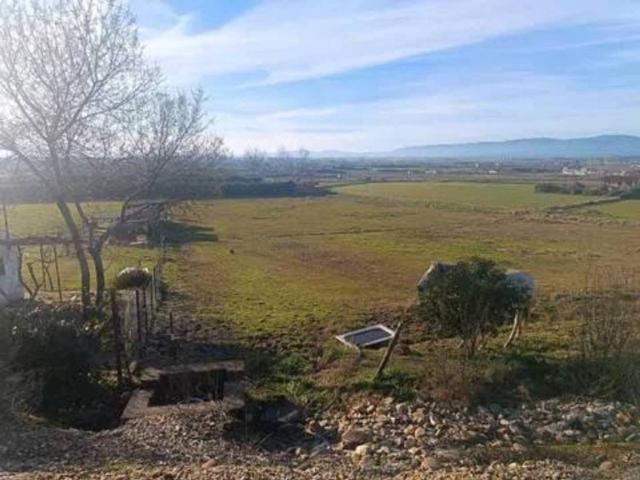 Terreno en venta en Moraleja, Extremadura