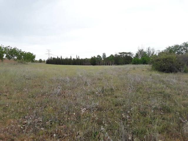 Terreno en venta en Moraleja De Enmedio, Madrid