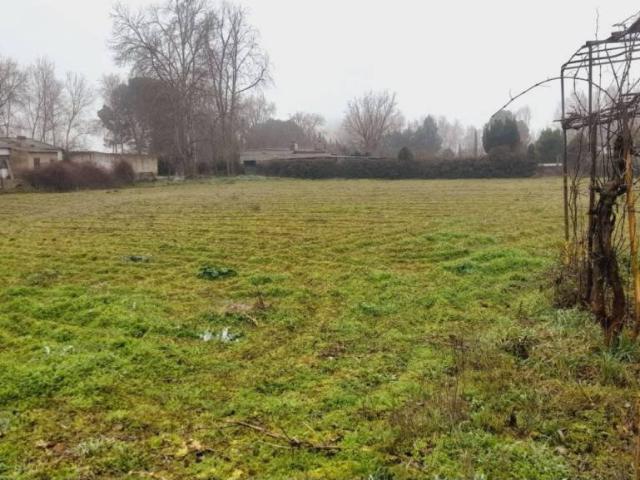 Terreno en venta en Moraleja Del Vino, Castilla y León