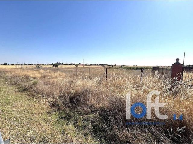 Terreno en venta en Morales Del Vino, Castilla y León