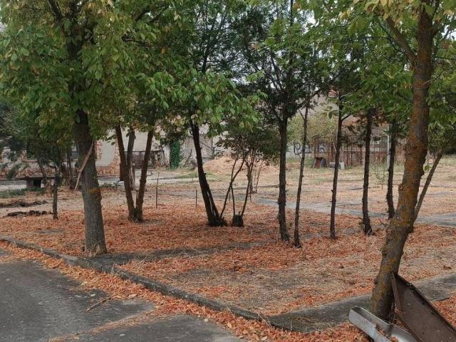 Terreno en venta en Morales Del Vino, Castilla y León